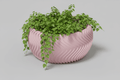 curved planter for small plants with trailing greenery against a light background