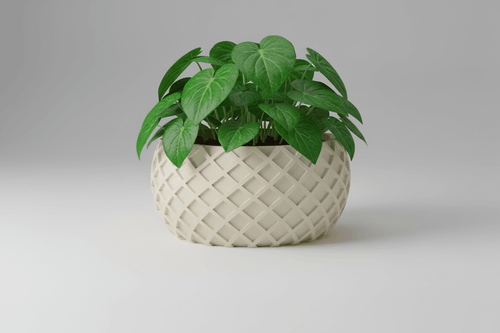 cross spiral planter with lush green leaves in a textured cream pot.