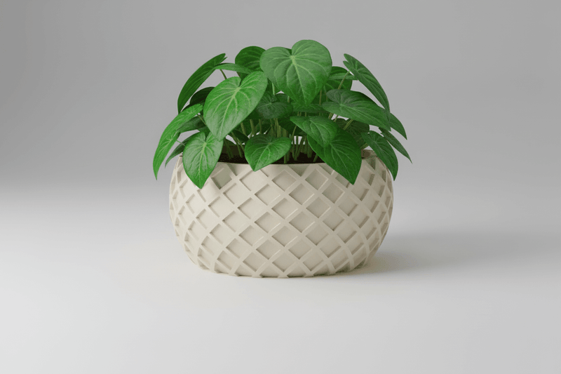 cross spiral planter with lush green leaves in a textured cream pot.